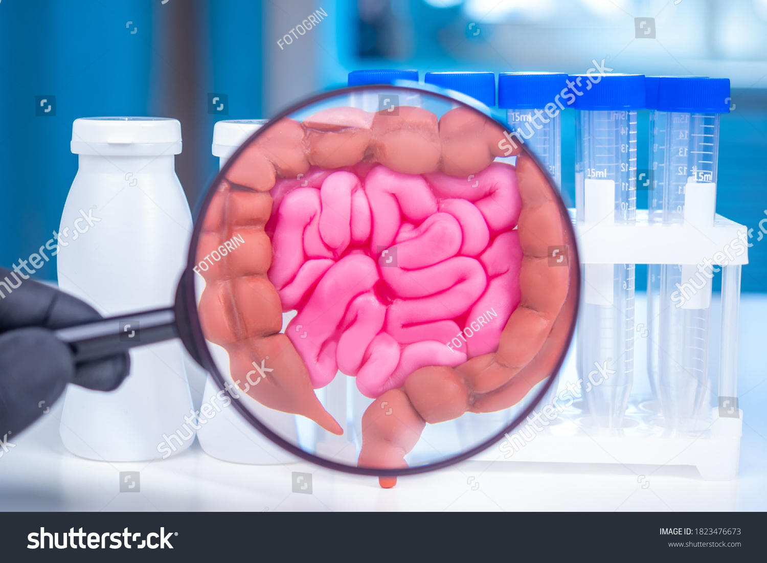 Human intestines under magnifying glass. Concept - study of gastrointestinal tract. Development of drugs for intestines. Probiotic production for intestines. Human health. Sample tubes near intestin #1823476673