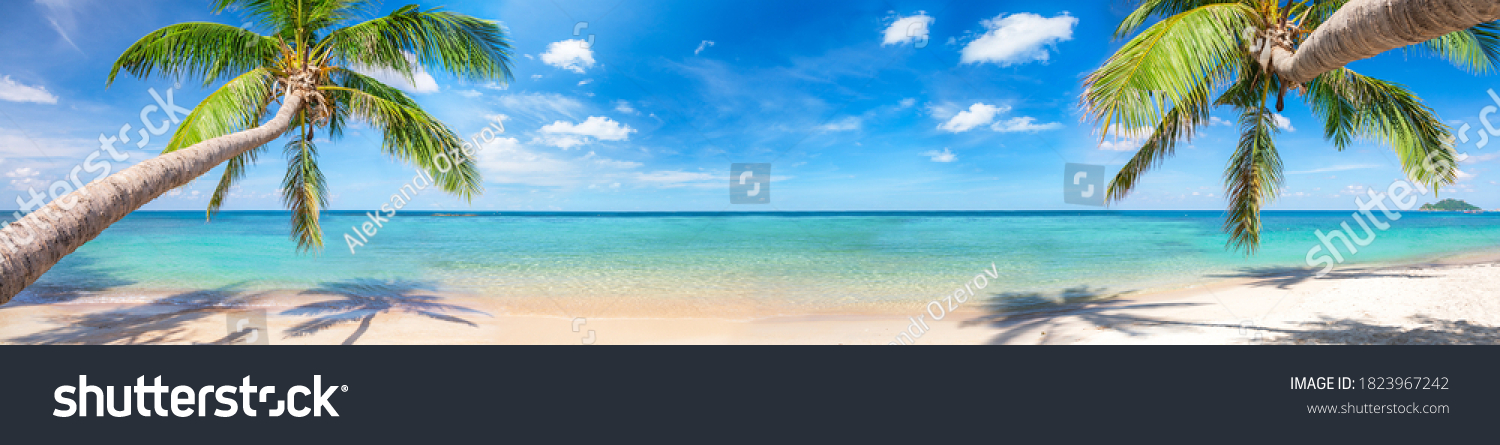 panorama of tropical beach with coconut palm trees #1823967242