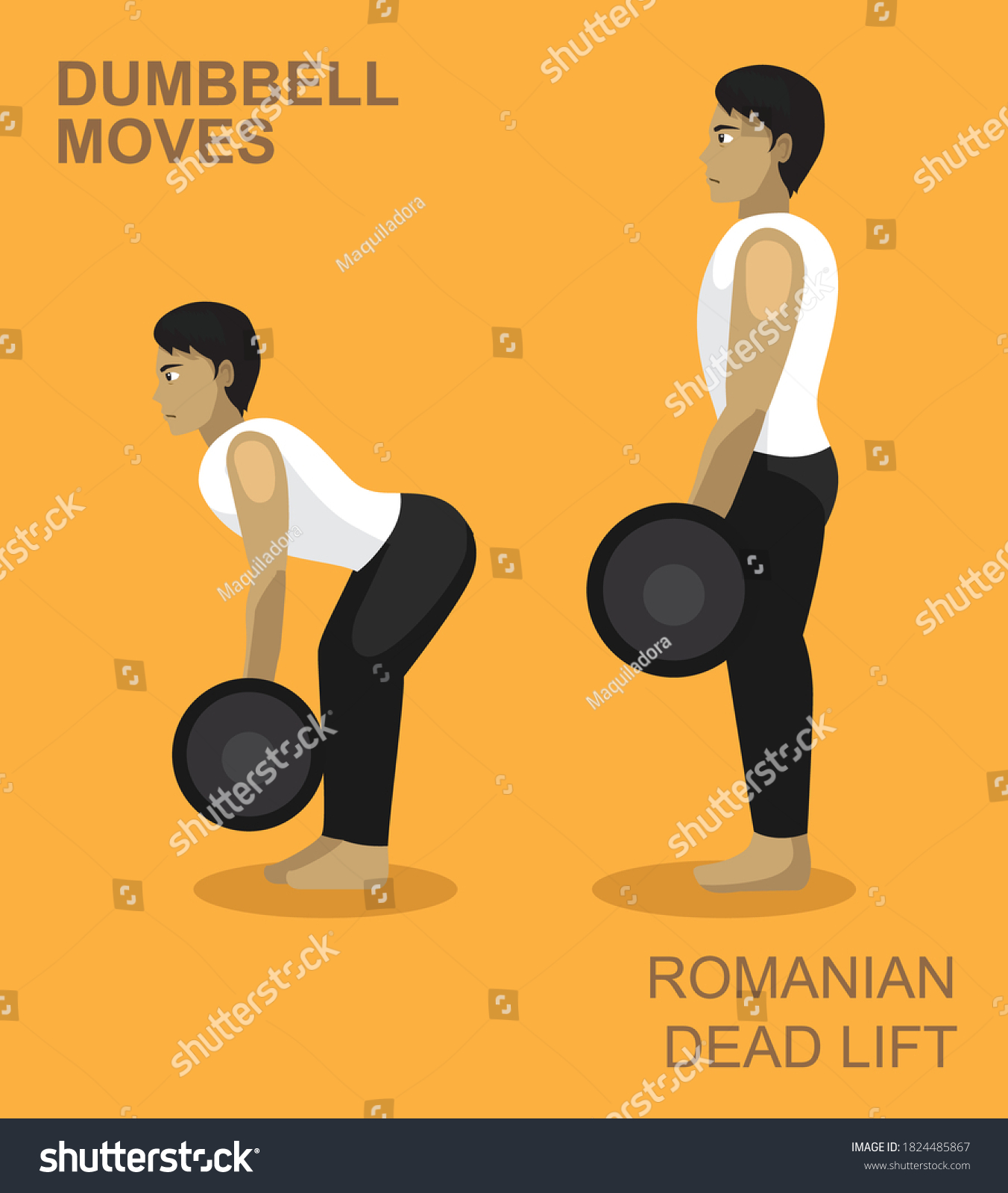 Romanian Dead Lift Dumbbell Moves Manga Gym Set Royalty Free Stock Vector 1824485867 7377