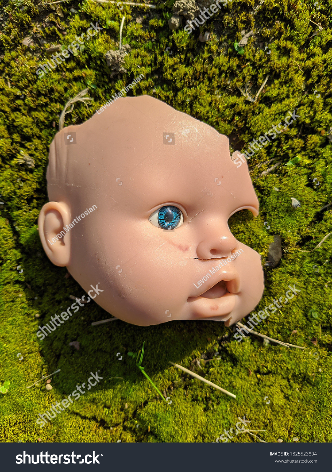 scary and broken doll face with one blue eye on a background of green moss in the forest in the autumn season #1825523804