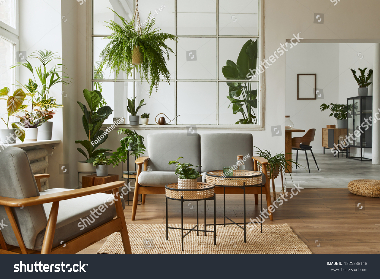 Modern scandinavian interior of living room with design grey sofa, armchair, a lot of plants, coffee table, carpet and personal accessories in cozy home decor. Template. #1825888148