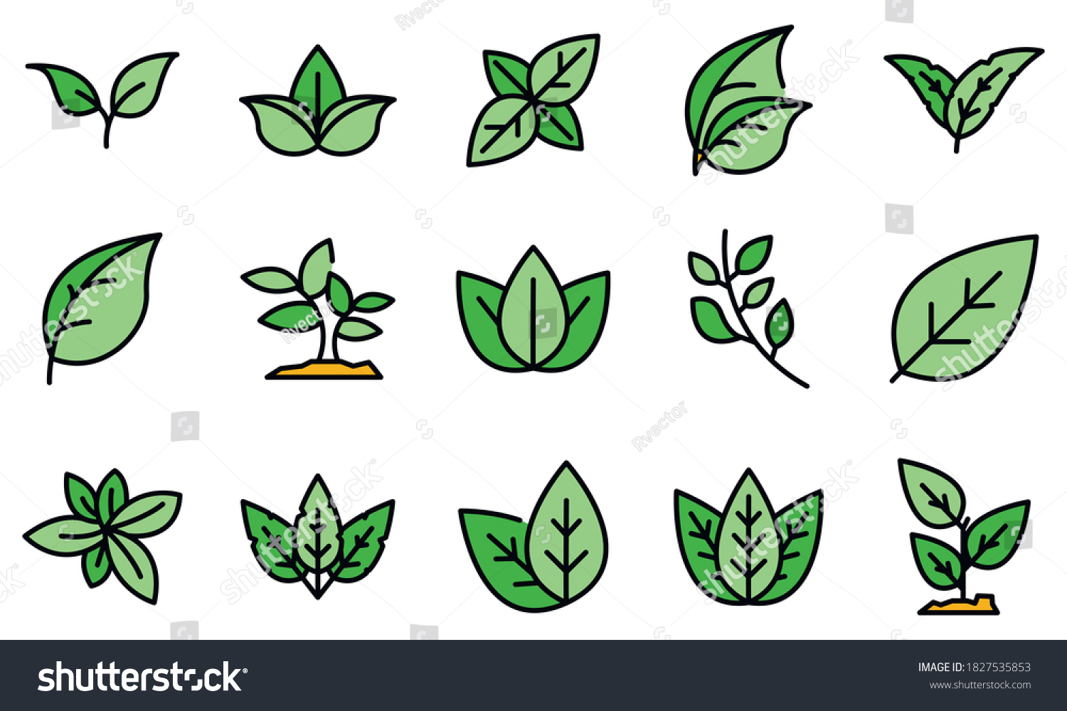 Basil icons set. Outline set of basil vector icons thin line color flat on white #1827535853