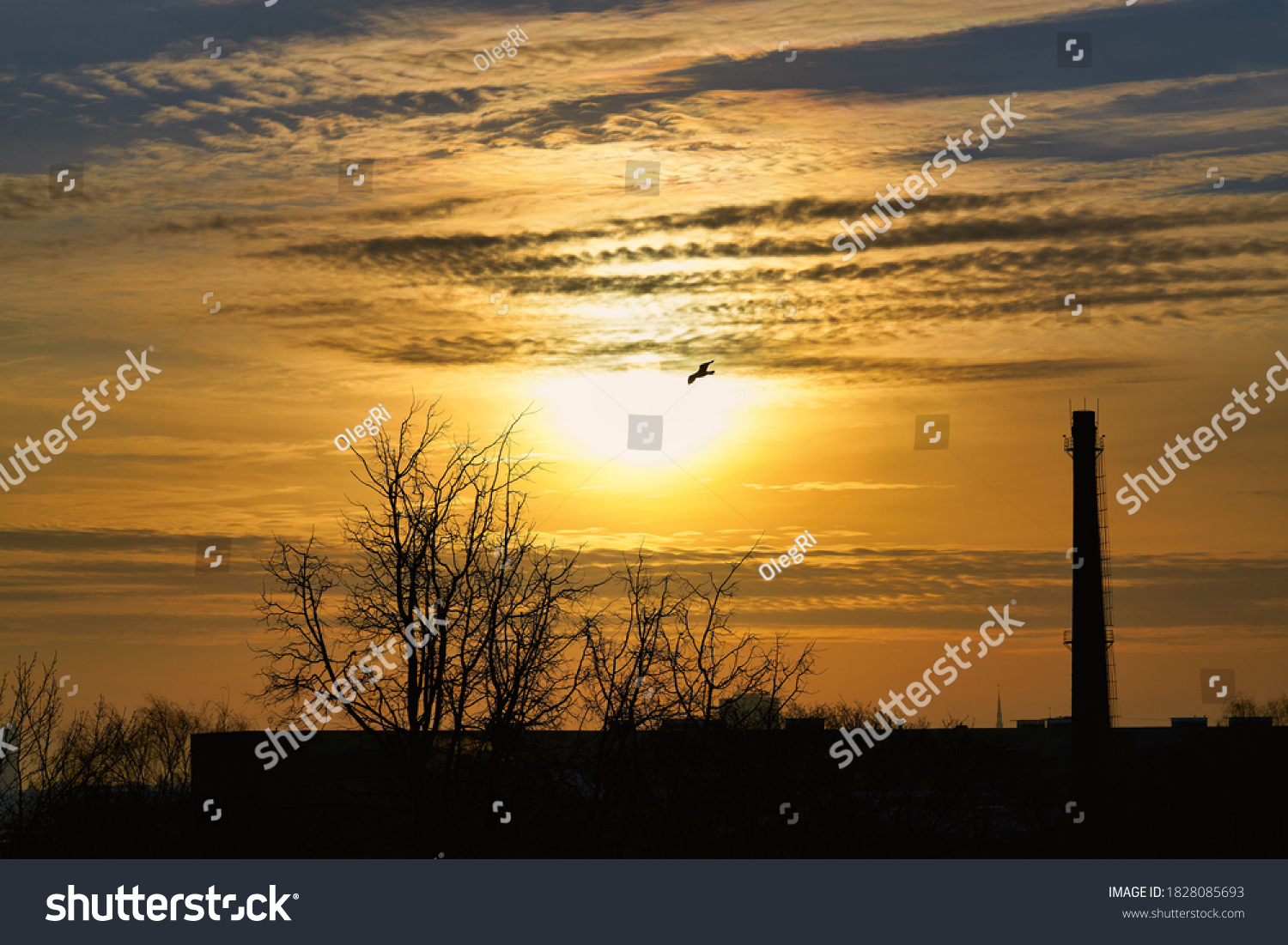Gorgeous panorama scenic of the strong sunrise with silver lining and cloud on the orange sky. #1828085693