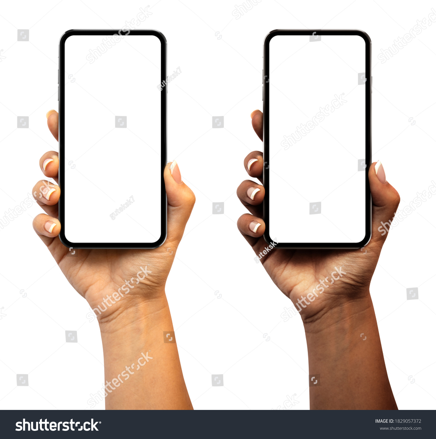 Woman hand holding the smartphone with blank screen and modern frameless design (black and white skinned version) - isolated on white background #1829057372