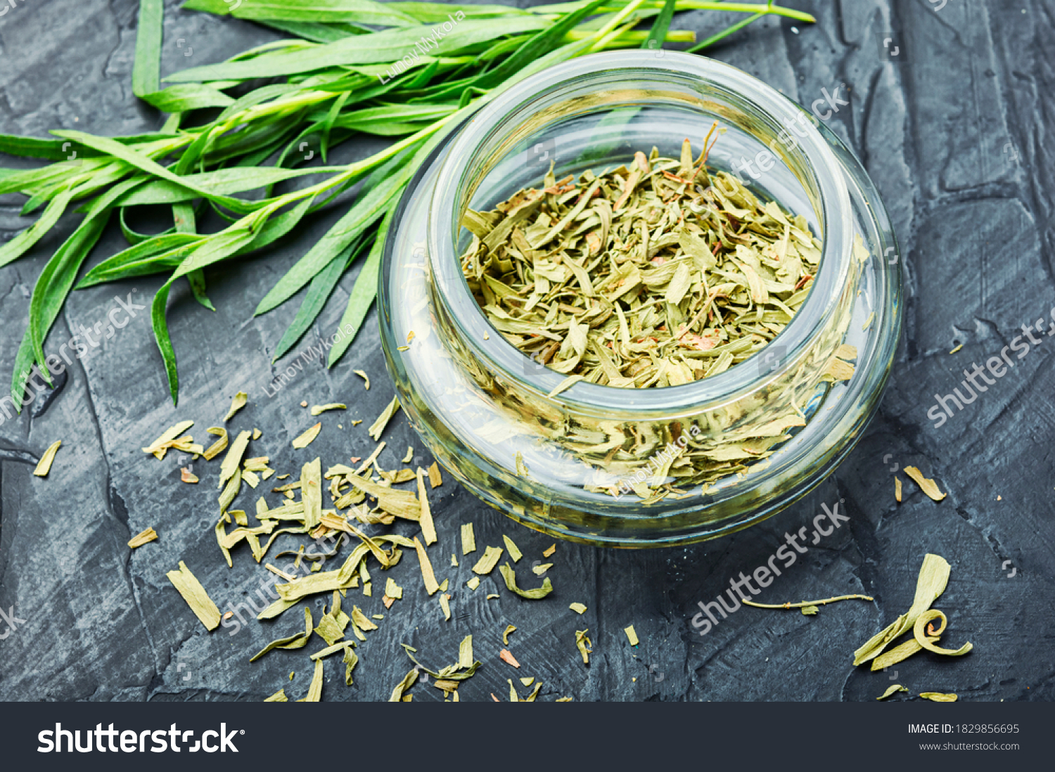 Raw and dry tarragon spice.Tarragon or Artemisia dracunculus #1829856695