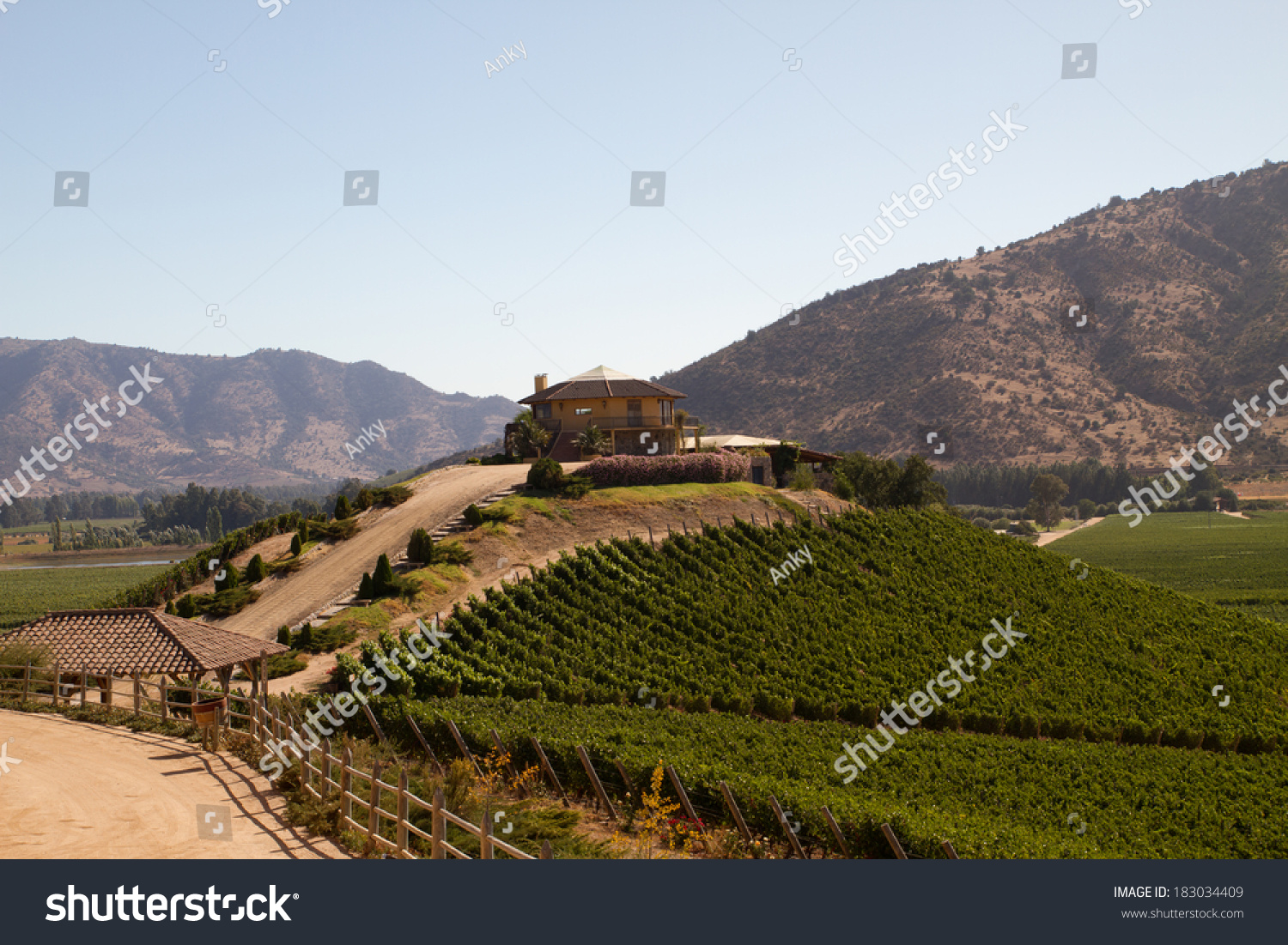 View from the Santa Cruz vineyard in Santa Cruz valley Chile #183034409