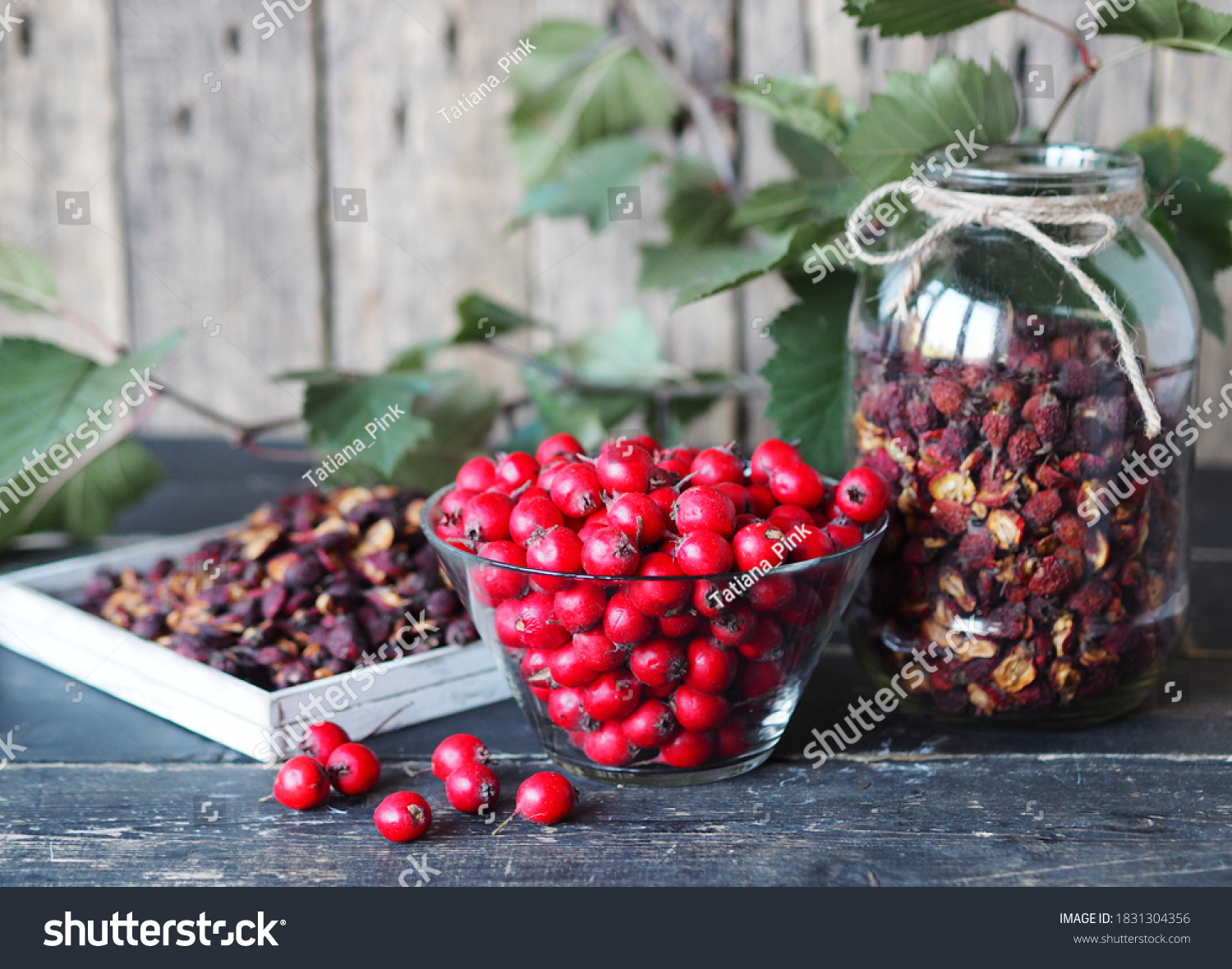 Useful properties of hawthorn berries. Harvesting of dried hawthorn for future use. Fresh red and dried hawthorn on a wooden background.Alternative traditional medicine using hawthorn. #1831304356