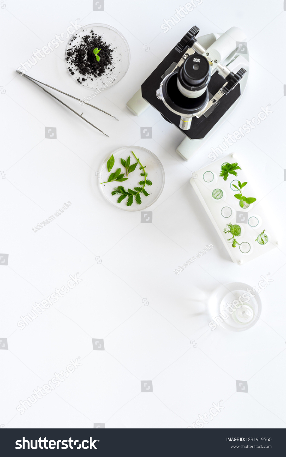 Plants with microscope in scientific laboratory. Top view #1831919560