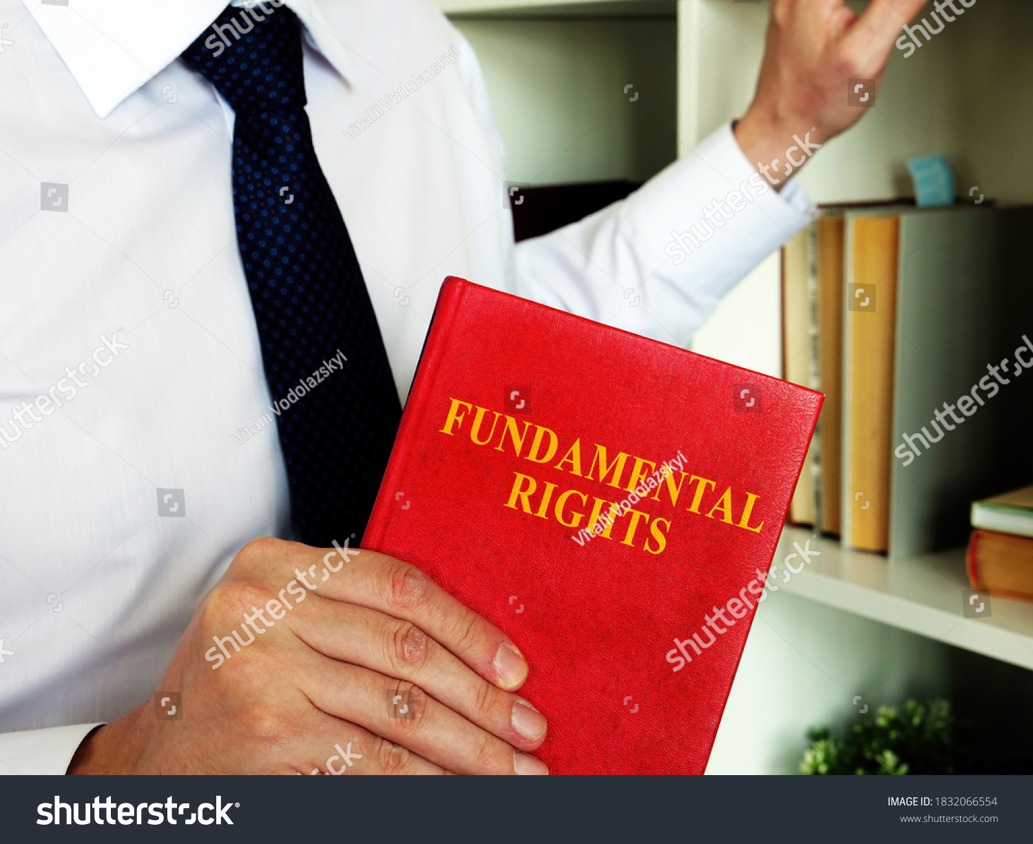 The Lawyer offers a book fundamental rights. #1832066554