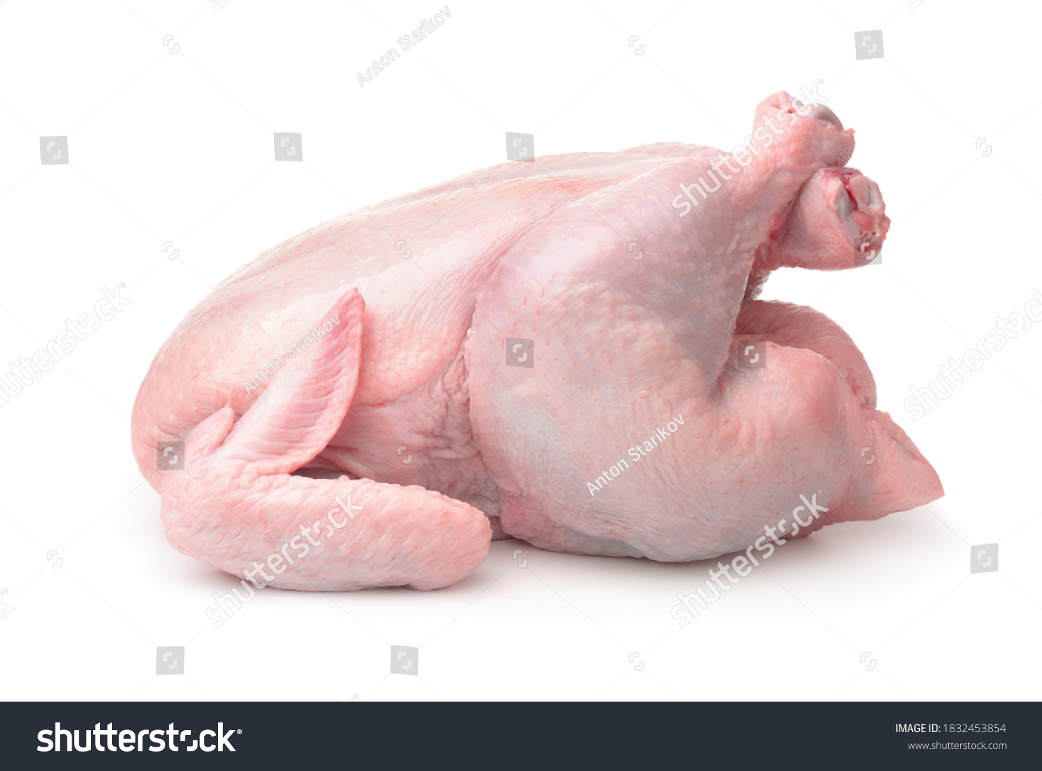 Side view of whole raw chicken isolated on white #1832453854