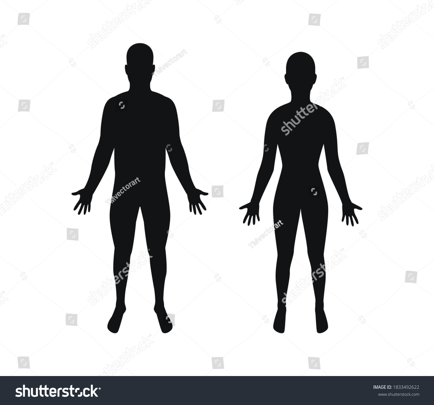 Human body. Male and female body silhouette. Man - Royalty Free Stock ...