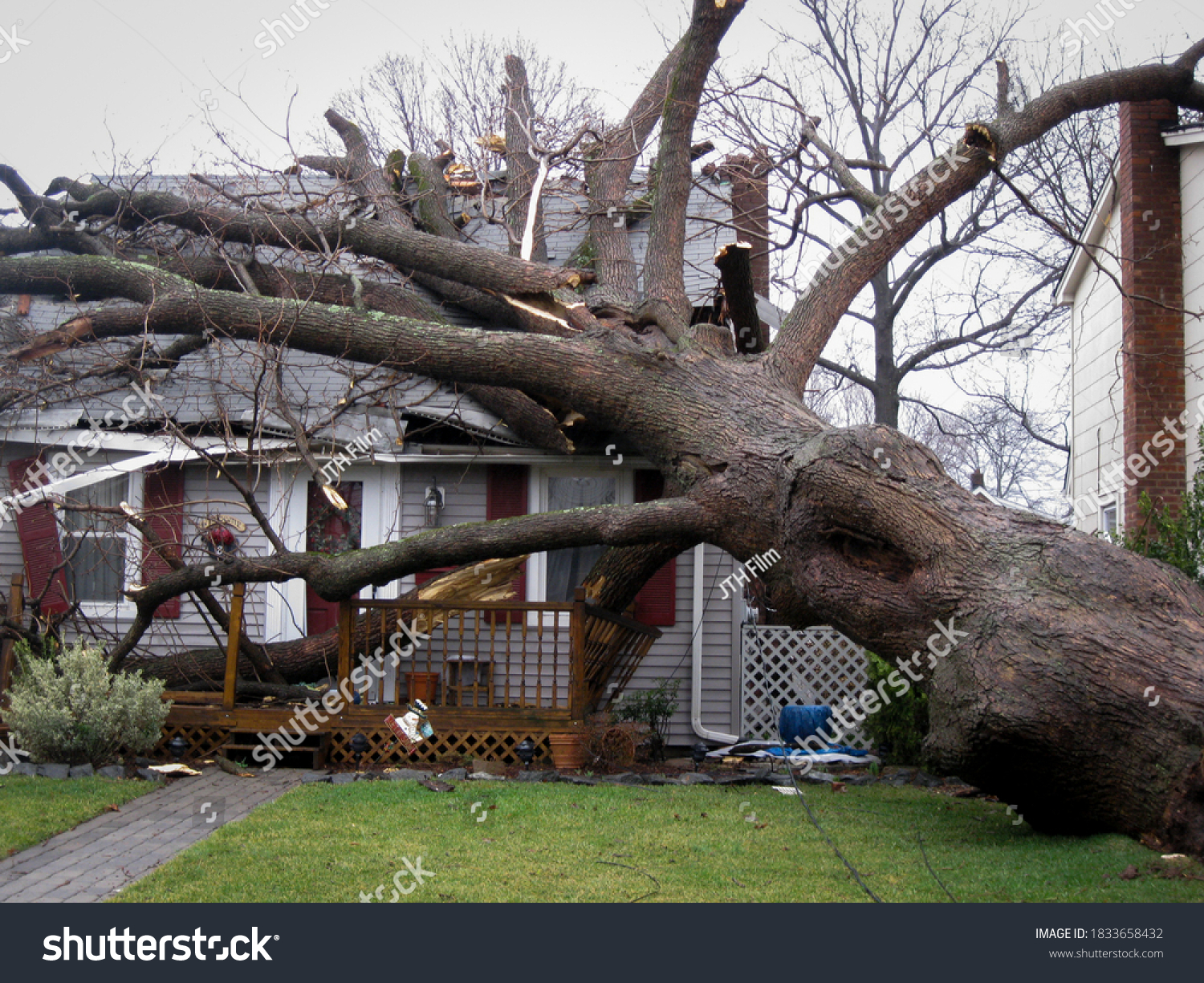 A large tree lays on top of a house in the aftermath of a hurricane. #1833658432
