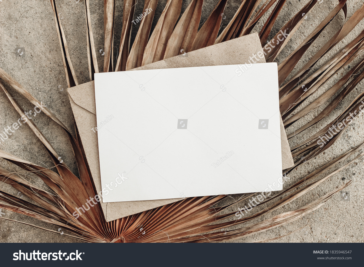 Summer stationery still life. Closeup of blank card mock-up and craft envelope on dry palm leaf. Grunge beige concrete background. Flat lay, top view, tropical vacation concept. Moody boho design. #1835946547