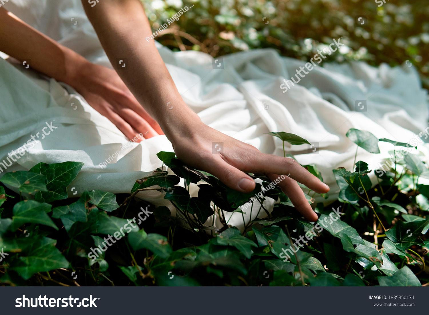  A woman in a white dress in the middle of the forest #1835950174