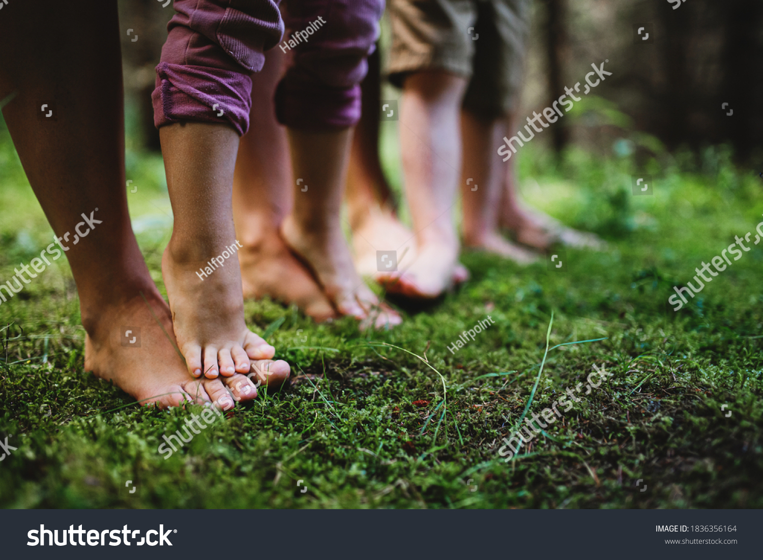 Bare feet of family with small children standing barefoot outdoors in nature, grounding concept. #1836356164