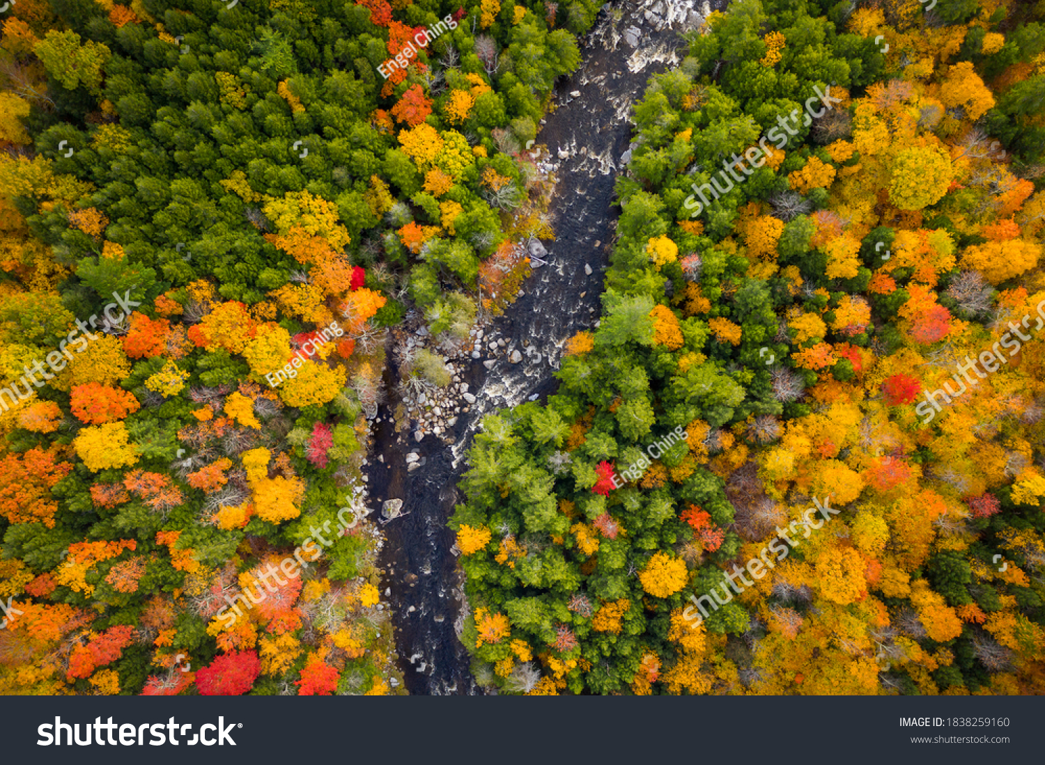 Aerial view of Winding River Through Autumn Trees with Fall Colors in Adirondacks, New York, New England #1838259160