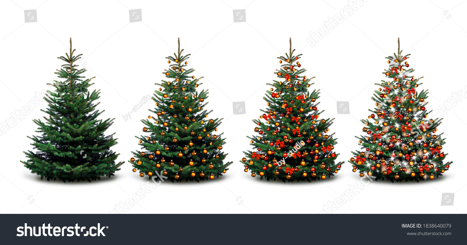 Four Christmas trees - unadorned and decorated #1838640079