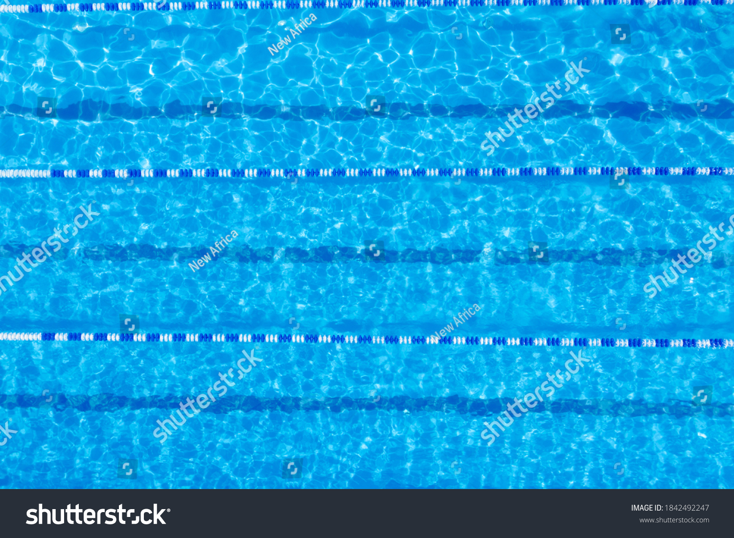 Swimming pool with racing lane dividers, top view #1842492247