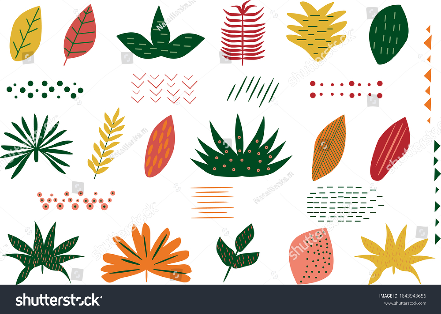 Cartoon plant leaves. Flat cute illustration leaf. Vector set plant on white background #1843943656