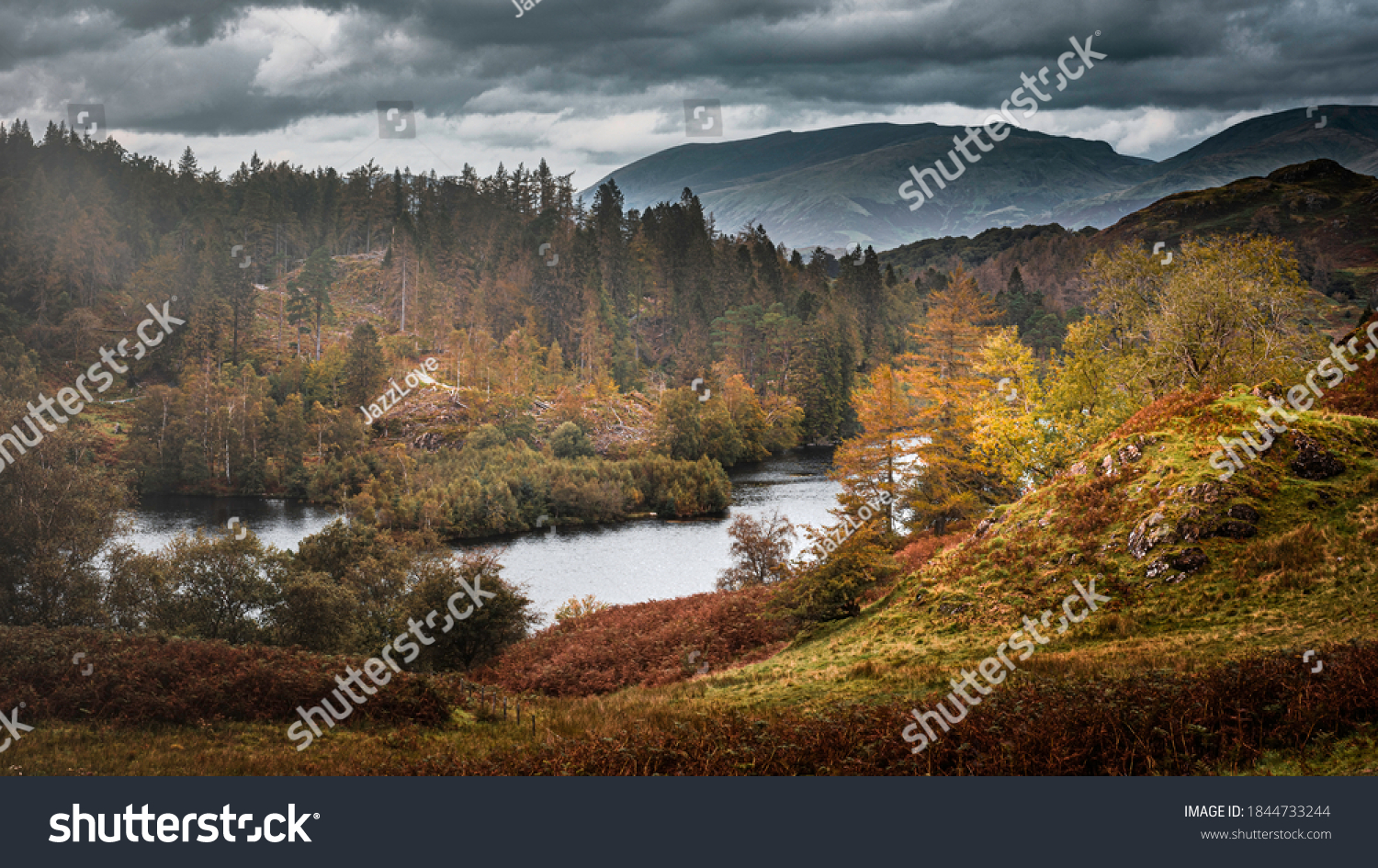 Tarn Hows in autumn.Painterly landscape scene in Lake District, Cumbria,UK.Cloudy sky over scenic mountain valley, lake and hills with trees lit by sunlight.Idyllic scenery. #1844733244