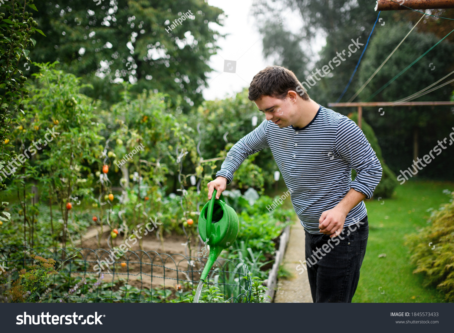 Down syndrome adult man watering plants outdoors in vegetable garden, gardening concept. #1845573433