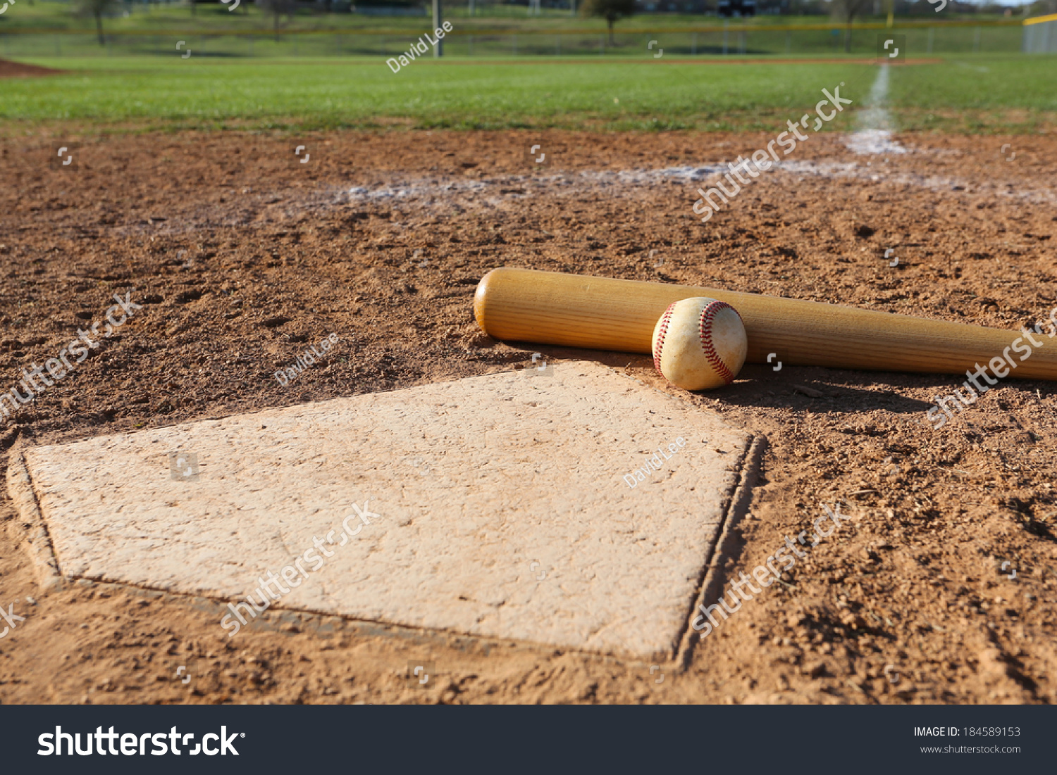 Baseball and Bat at Home Plate with the Field Beyond #184589153