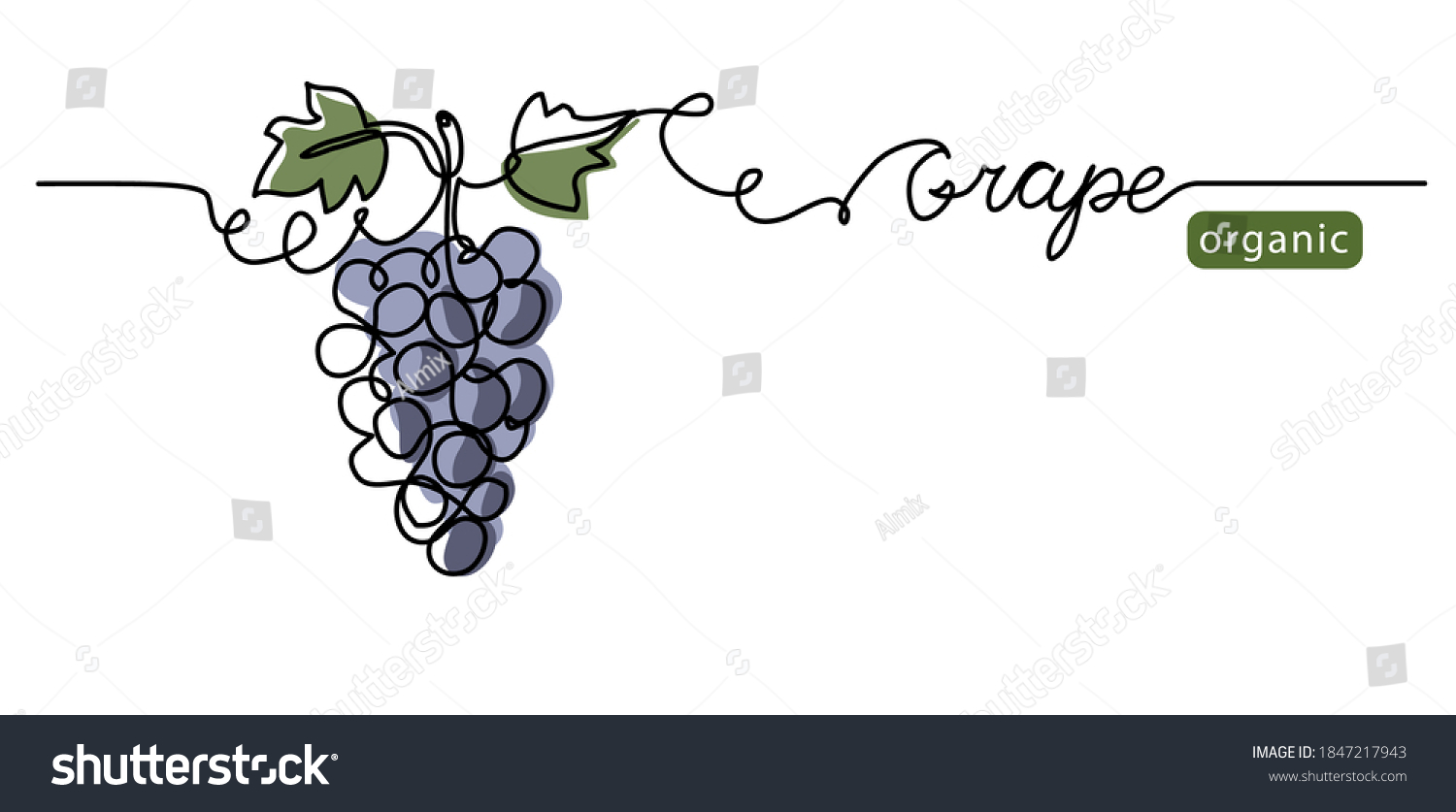Grape bunch vector illustration. One continuous line drawing art illustration with lettering organic grape. #1847217943