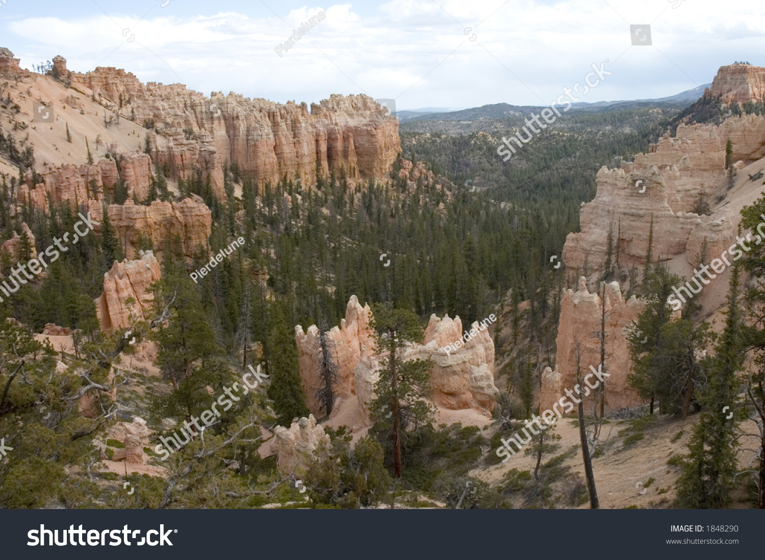 pine trees and hoodoos  from Fairyland Point at Bryce Canyon National Park, Utah, USA #1848290