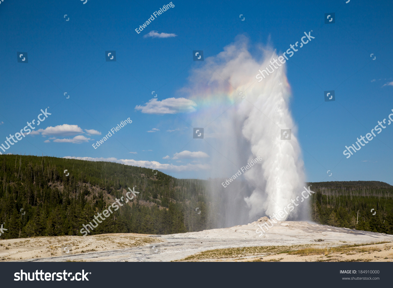 Errupting Old Faithful Geyser in Yellowstone National Park with rainbow. #184910000