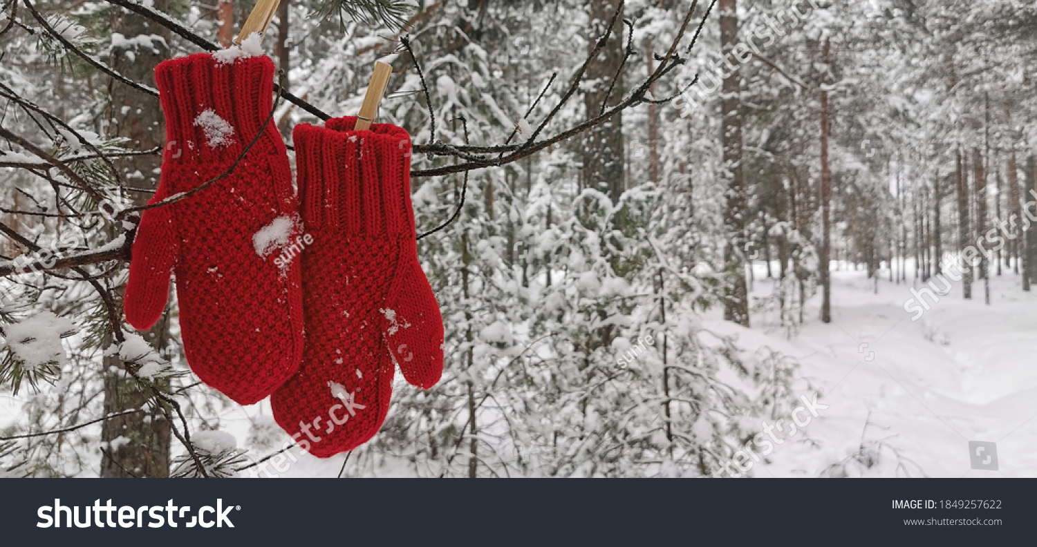 Wintertime, winter forest concept. Red mittens hanging on a branch in winter forest. Selective focus. #1849257622