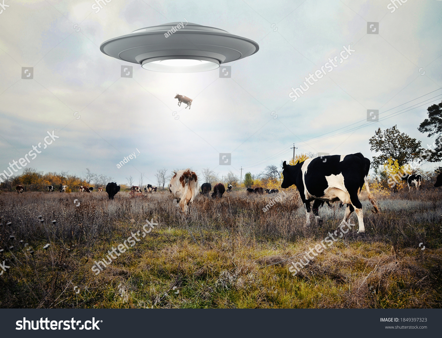 Landscape with cows and UFO. Photo with 3d rendering element  #1849397323
