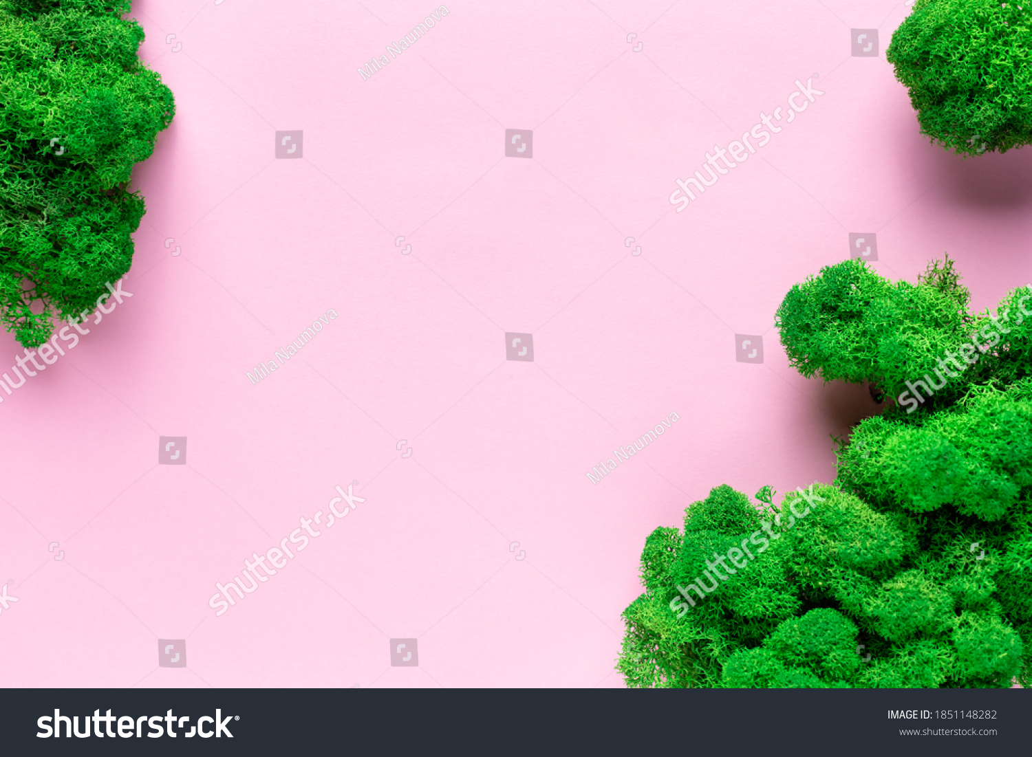 frame from green stabilized moss on pink background for organic cosmetic products. Environmentally clear nature concept. flat lay. place for your text or design. #1851148282