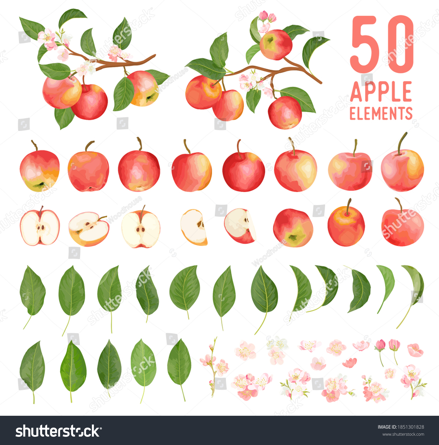 Watercolor elements of apple fruits, leaves and flowers for posters, wedding cards, summer boho banners, cover design templates, social media stories, spring wallpapers. Vector apples illustration #1851301828