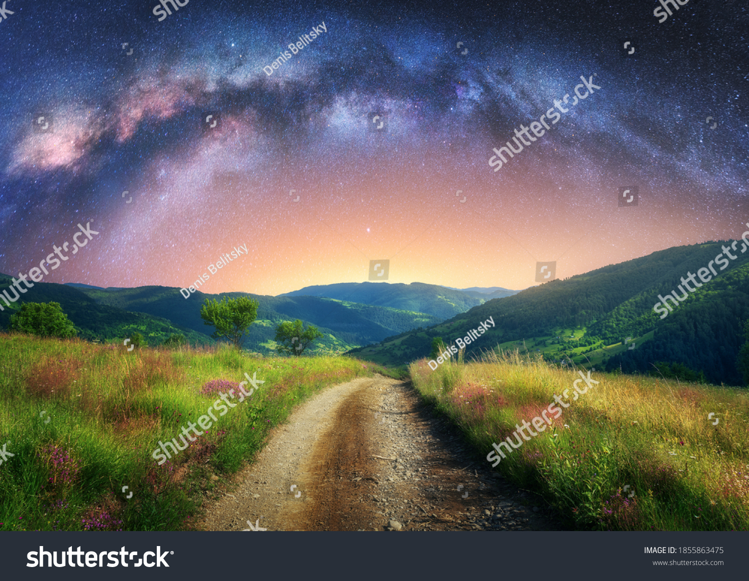 Arched Milky Way over the mountain dirt road in summer. Beautiful night landscape with starry sky, milky way arch, trail in mountain village, hills, green grass and purple flowers. Space and galaxy #1855863475