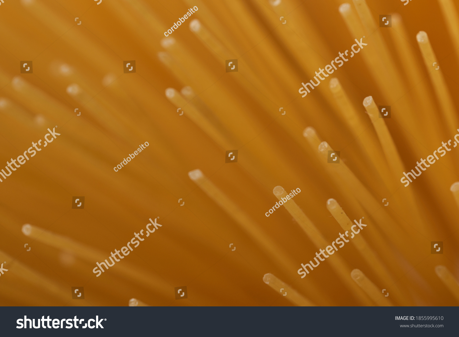 
A macro photograph of several unboiled spaghetti #1855995610