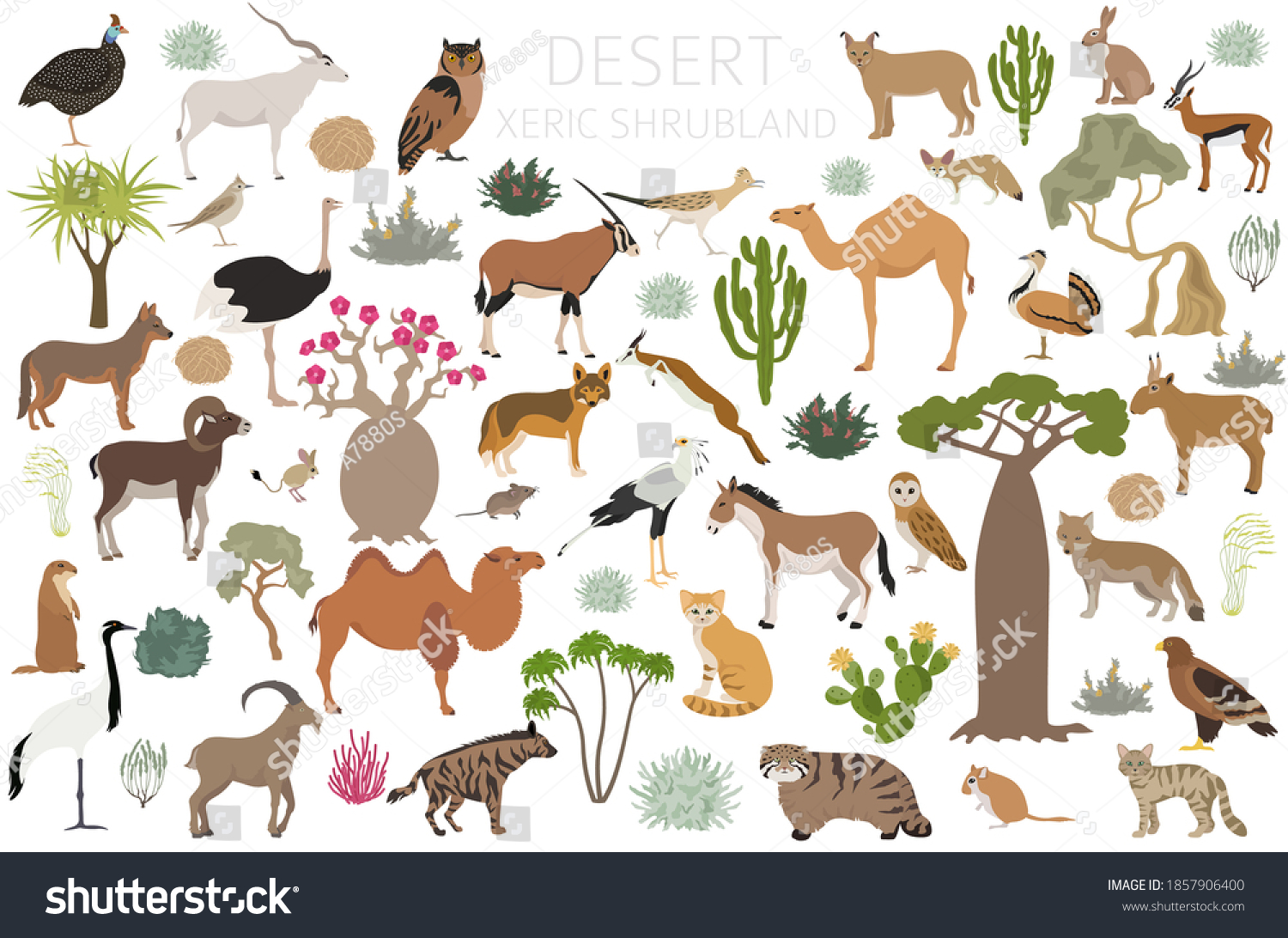 Desert biome, xeric shrubland natural region - Royalty Free Stock ...