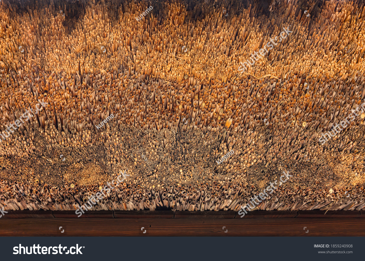 Close-up on the texture of an old Japanese traditional roofing method of thatching named Kayabuki thatched roof using densely packed bulk of dry straw as thick layering in the Buddhist Tamonji temple. #1859240908