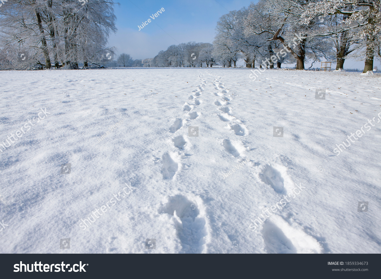 A medium shot of footprints on fresh snow on a pathway in winter. #1859334673