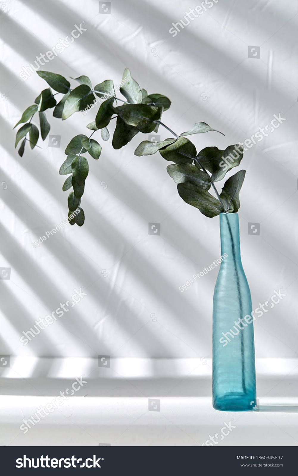 nature, flora and herbal concept - eucalyptus populus branch in blue glass vase on white table #1860345697