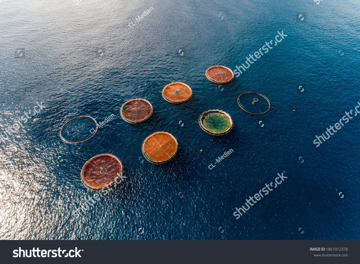 Aerial top view of the rings of fish aqua farm in the sea of madeira Portugal Europe #1861012378