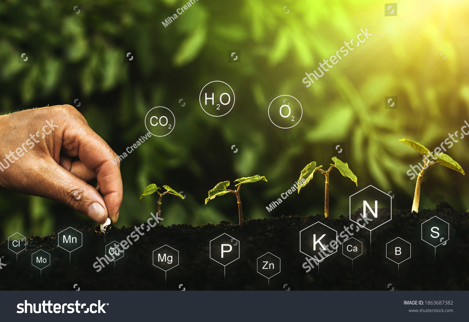 Role of nutrients in plant life. Hands planting seedling. Soil with digital mineral nutrients icon. #1863687382