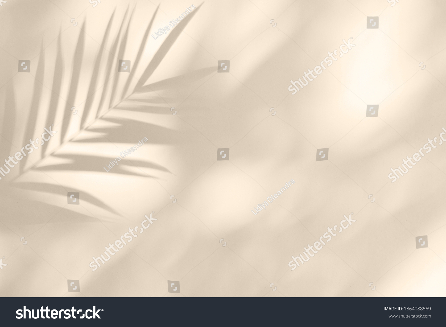 Soft shadows of tropical palm leaves on textured concrete background. Summer travel concept. Abstract minimal photo for advertising. #1864088569