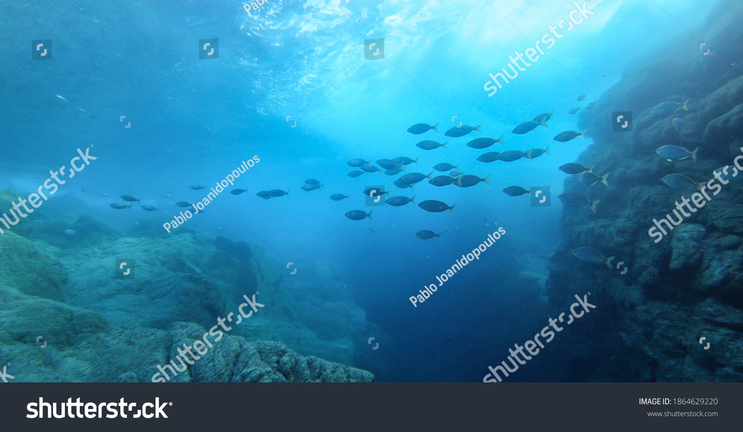 Beautiful image of big fish school swimming under the sun beam in the Mediterranean Sea, at the Ikaria island #1864629220