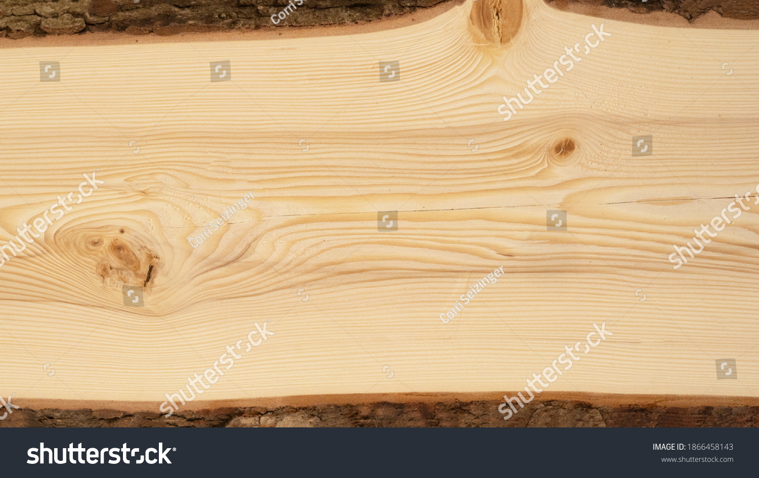 Wood background - Spruce fir wooden table board template, with tree edge and bark and space for text #1866458143