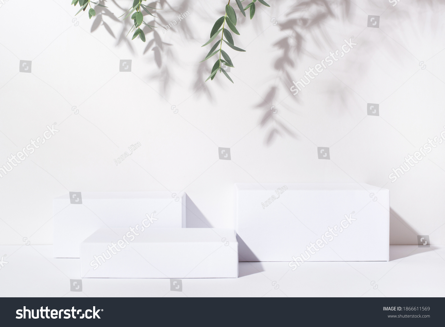 White background for cosmetic products. Rectangular podiums with the shadow of the branches of the eucalyptus. #1866611569