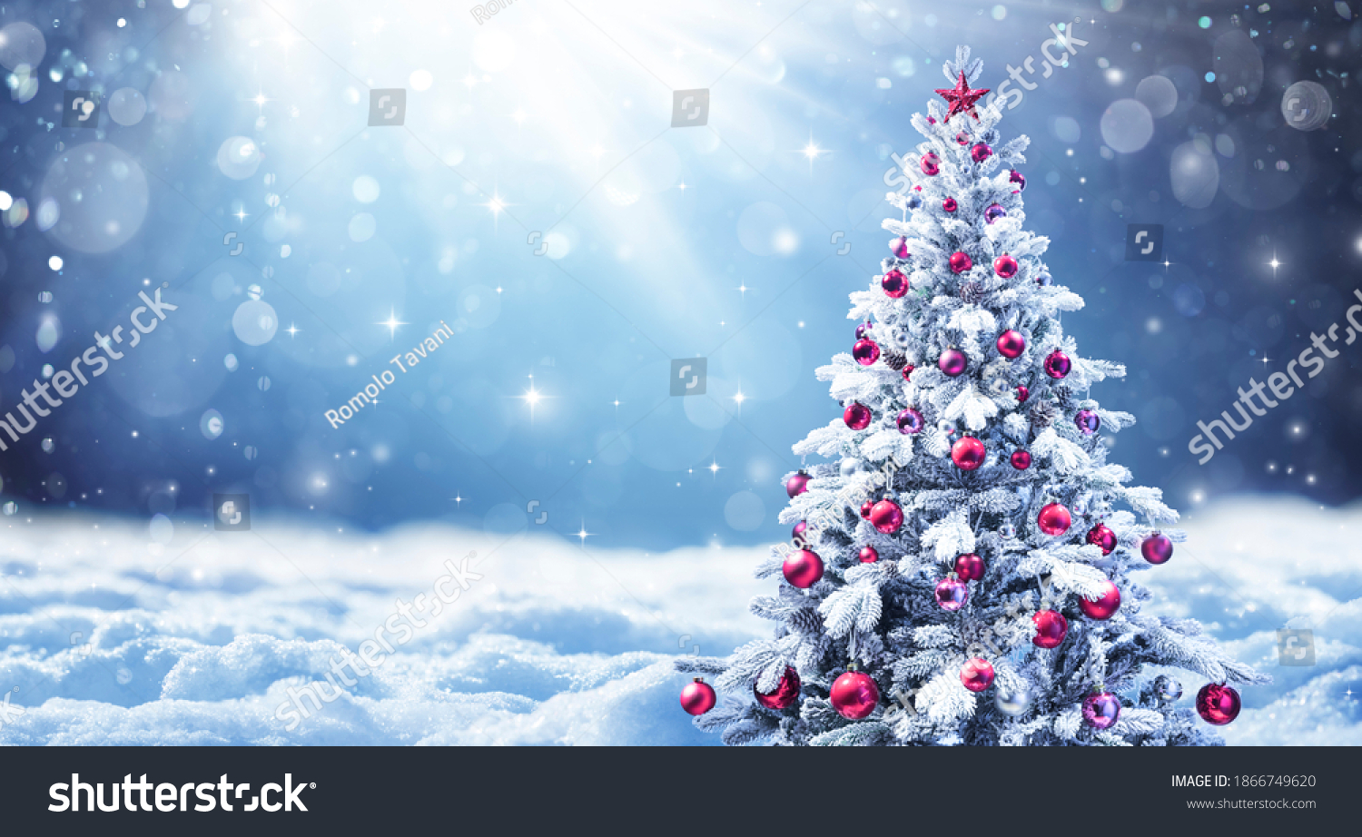 Snowy Christmas Tree With Red Balls In A Abstract Defocused Landscape
 #1866749620