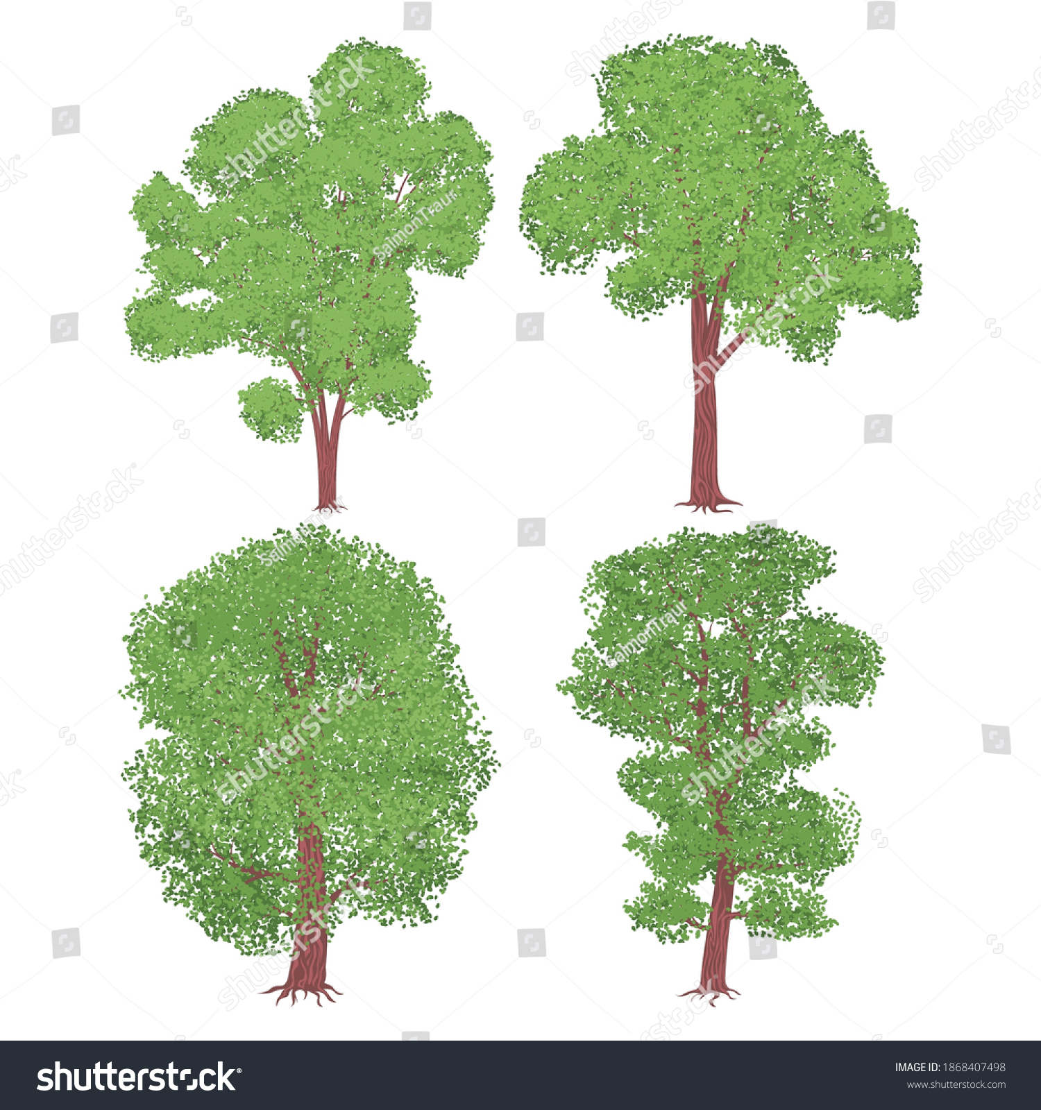 4 elm trees with a wound shape. Set of vector - Royalty Free Stock ...