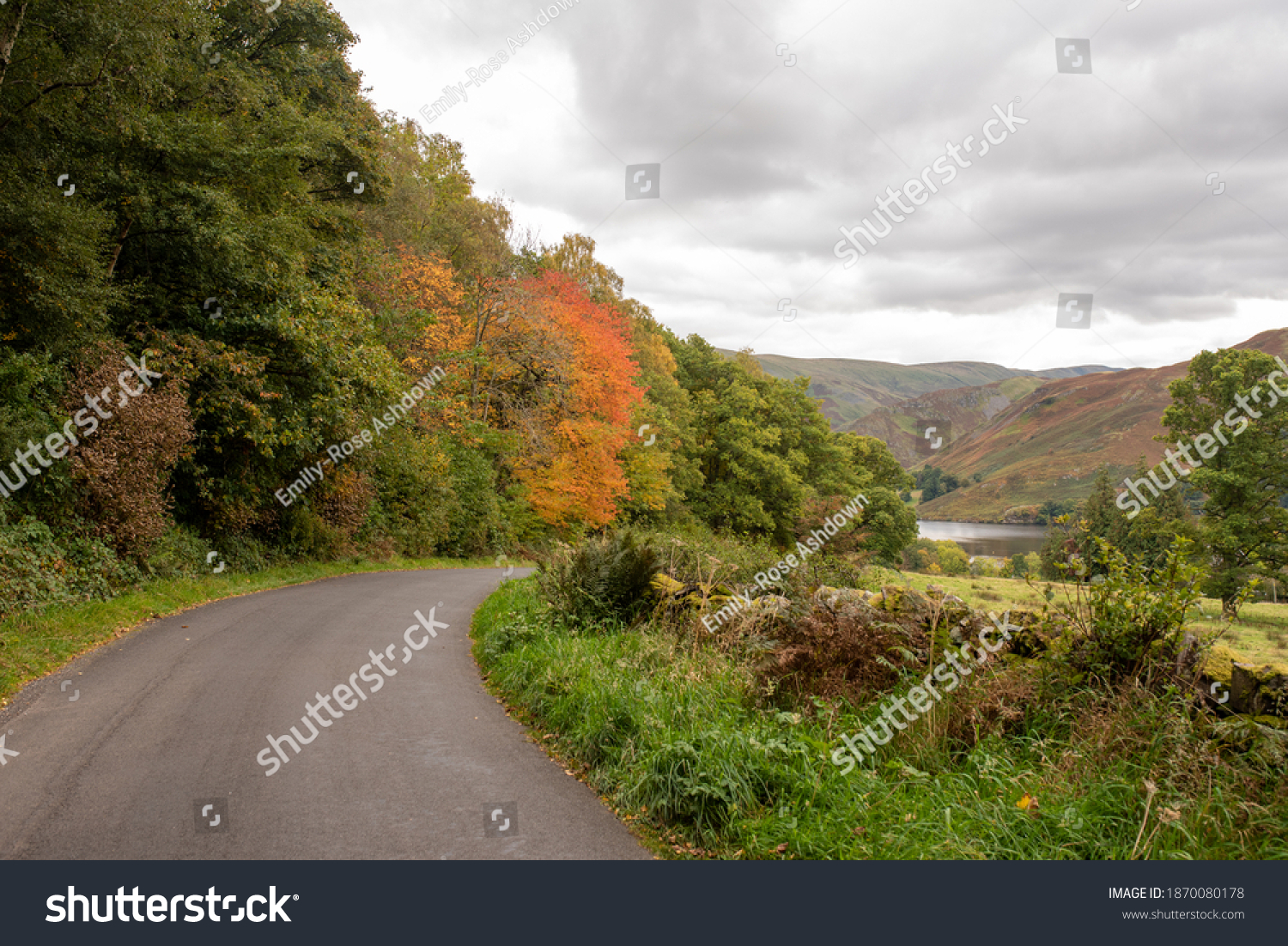 Beautiful Tree Lined Winding Road Leading down to Ullswater Lake in Autumn. 2020 #1870080178