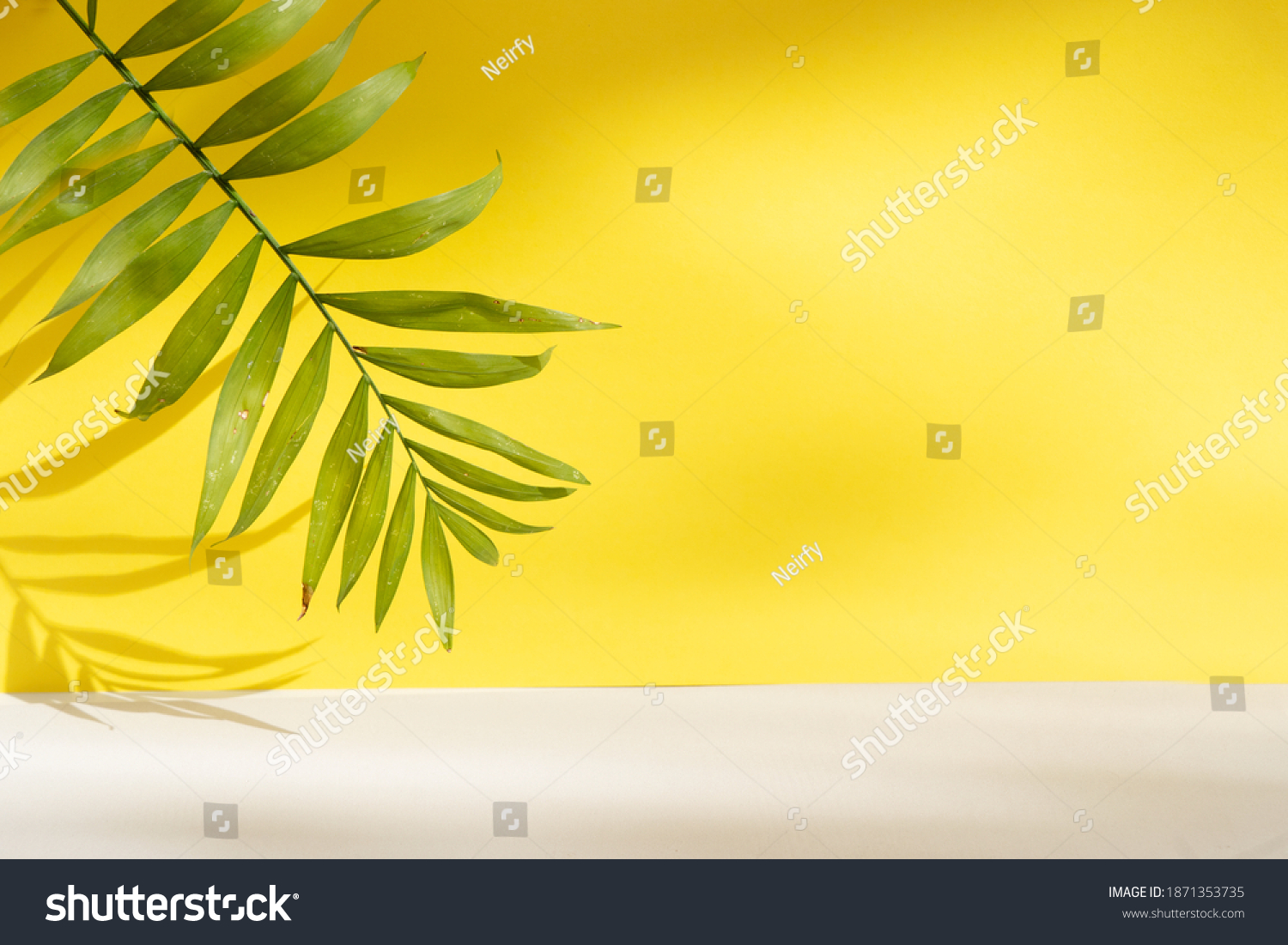 Minimal modern product display on textured gray and yellow background with fresh palm leaves and shadows #1871353735