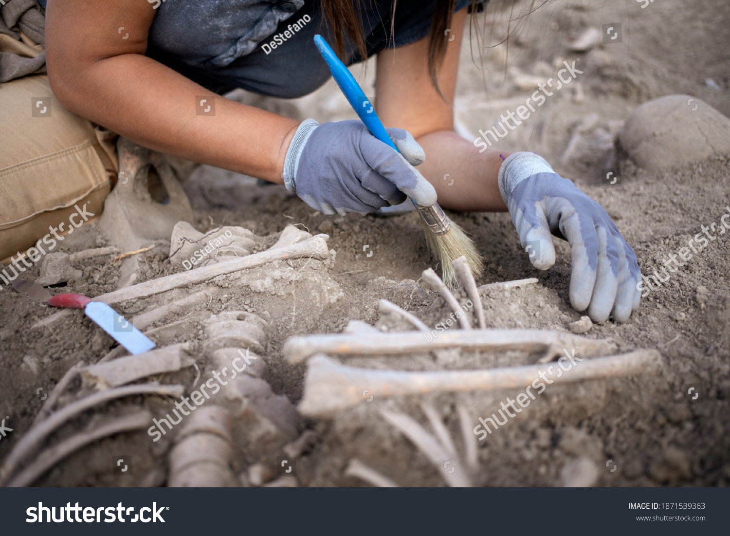 Young woman archaeologist working on human remains excavation #1871539363